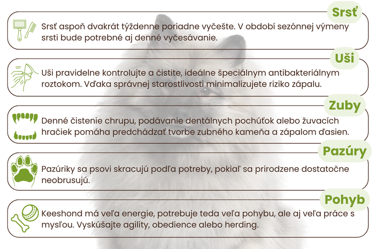 keeshond-starostlivosť